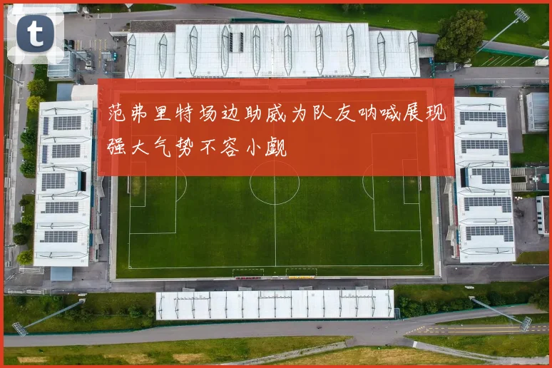 范弗里特场边助威为队友呐喊展现强大气势不容小觑