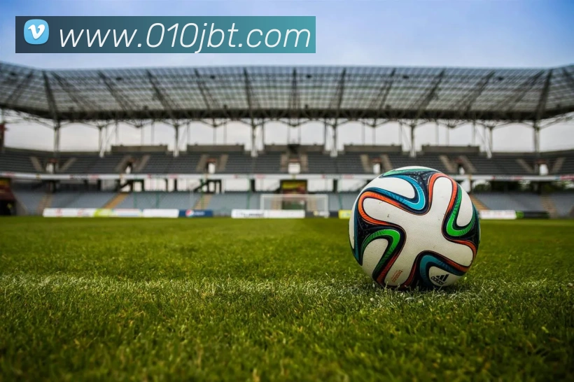 星空平台生态图